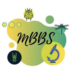 Mbbs-in-Ukraine